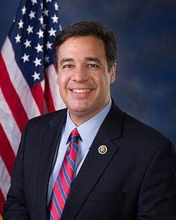 profile picture of Raúl Labrador
