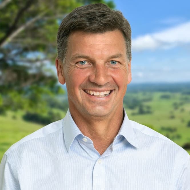 Profile picture of Angus Taylor